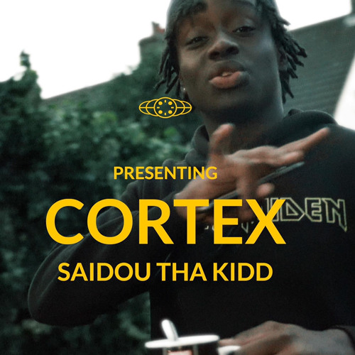 Cortex - saidouthakidd