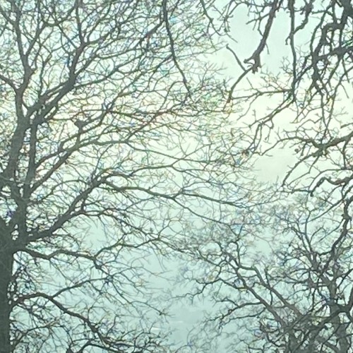 frown (prod. dirty sosa)