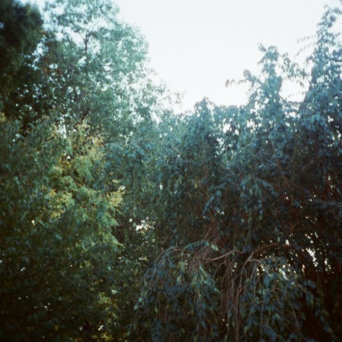 Abstract Kids - Memory EP