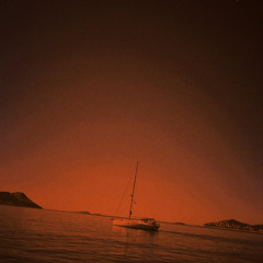 Zehir- Sedef Sebüktekin(cover)