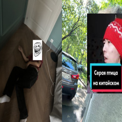 птица w/ everest_40 [wxwx21 + kuriya b]