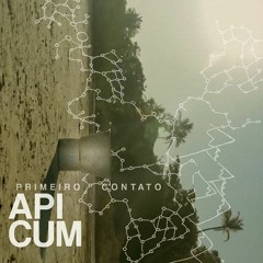 Apicum - Primeiro Contato