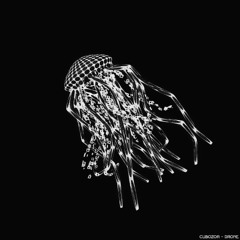 Cubozoa
