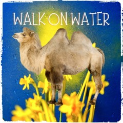 Walk On Water w/ Sophie Bickerdike