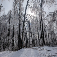 Ice Storm
