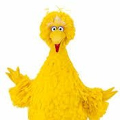 Episode 35: Tony Shaloub Don't Miss