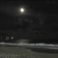 not ok/kurt cobain p.young italy