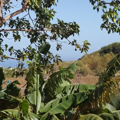 bank holiday Monday neo soul mix