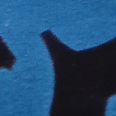 1716065914255_Schatz_1.ogg
