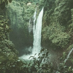 Celestial Safari (Live Mix)