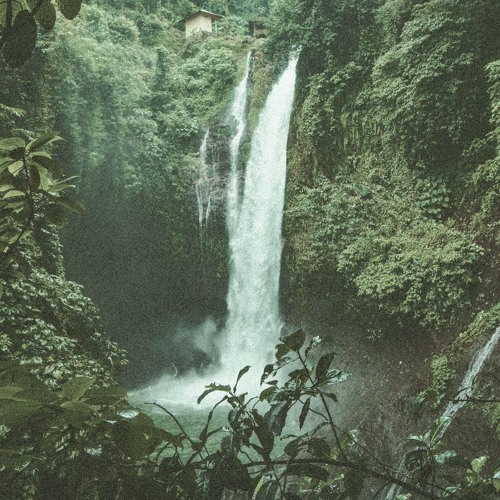 Celestial Safari (Live Mix)