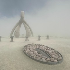 Burning Man 2023 (session 1)