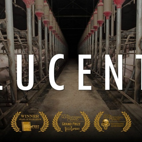 Lucent Documentary By Aussie Farms