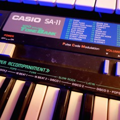 Jamuary 2022 No. 2 - Casio SA-11, Wavestate, Digitakt, NTS-1