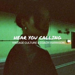 Hear You Calling (Vintage Culture & Coach Harrison) - Chaos Theory REMIX