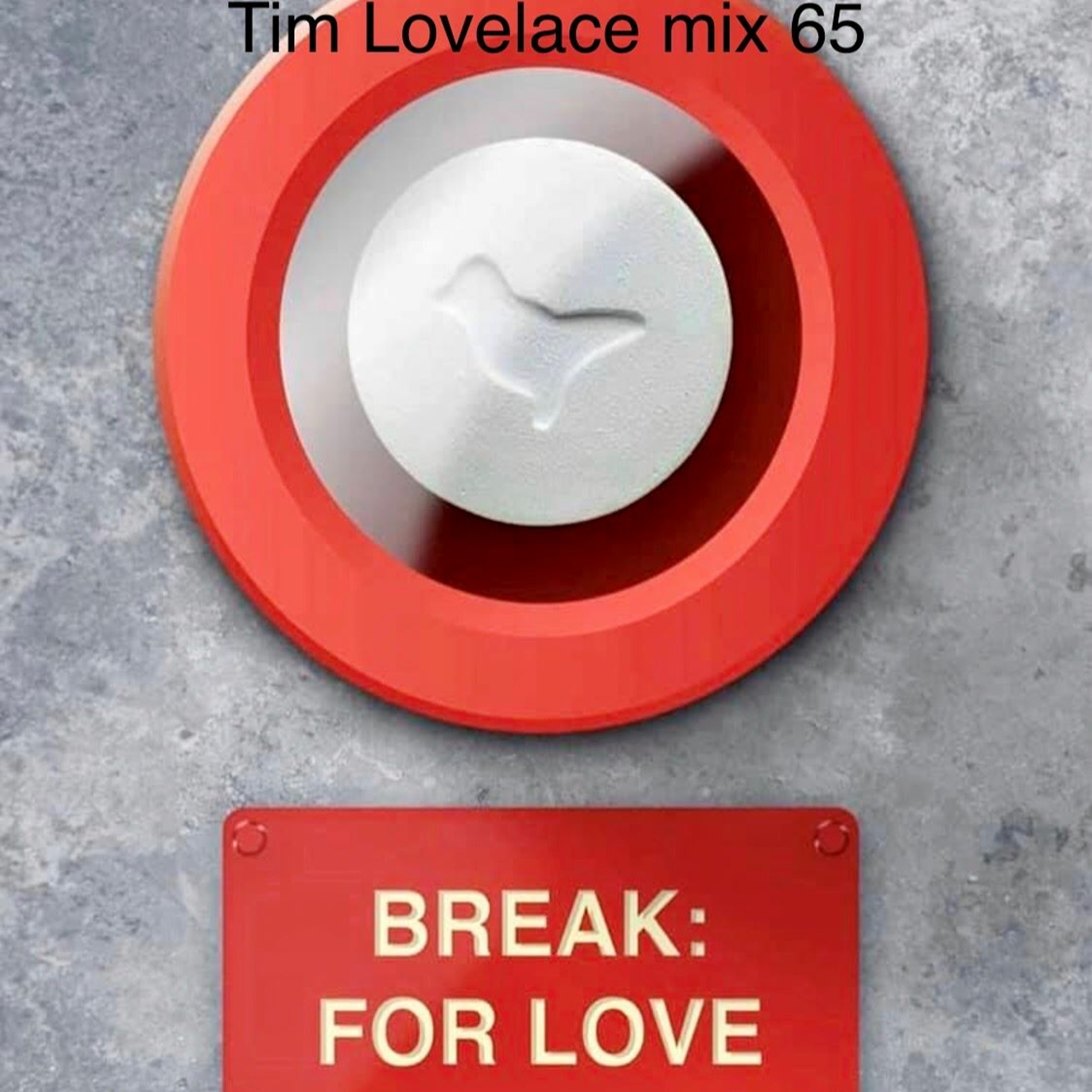 Tim Lovelace