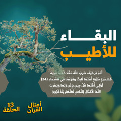 أمثال القرآن 13 | البقاء للأطيب | د. رامي النحراوي