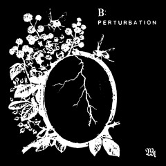 A1AWL1 _ Wendy Lavone - a/b Two