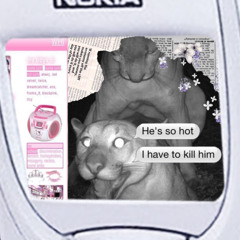 <*^.B2B.^*>