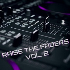 Raise The Faders VOL. 2