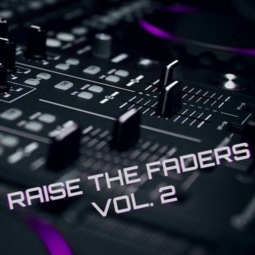 Raise The Faders VOL. 2