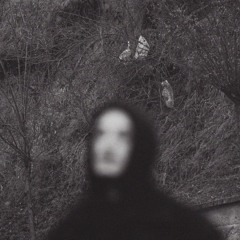 Şiir & Fredd - kim kime ait? (demo)