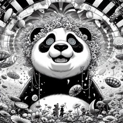 AMANi - Lilly.S. & der Panda - ZWO