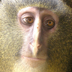 see u in another lyfe 5029342 (instrumental)