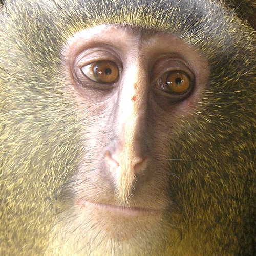 see u in another lyfe 5029342 (instrumental)