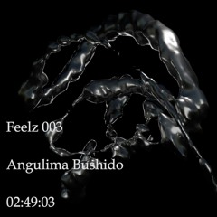 FeelZ 003 W// Angulima Bushido