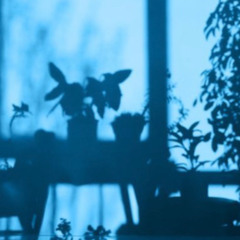 music for sundowning