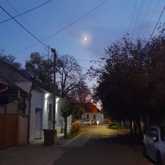 Áchim Görgy - I will save my love. I took the first step! This is his joy, I stand up for him!