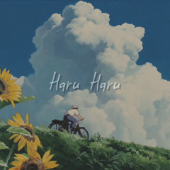 Lo-fi type beat | Haru Haru | cre: YTB Shuabbi