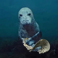 mooncrab (prod hvstygng x feasley)