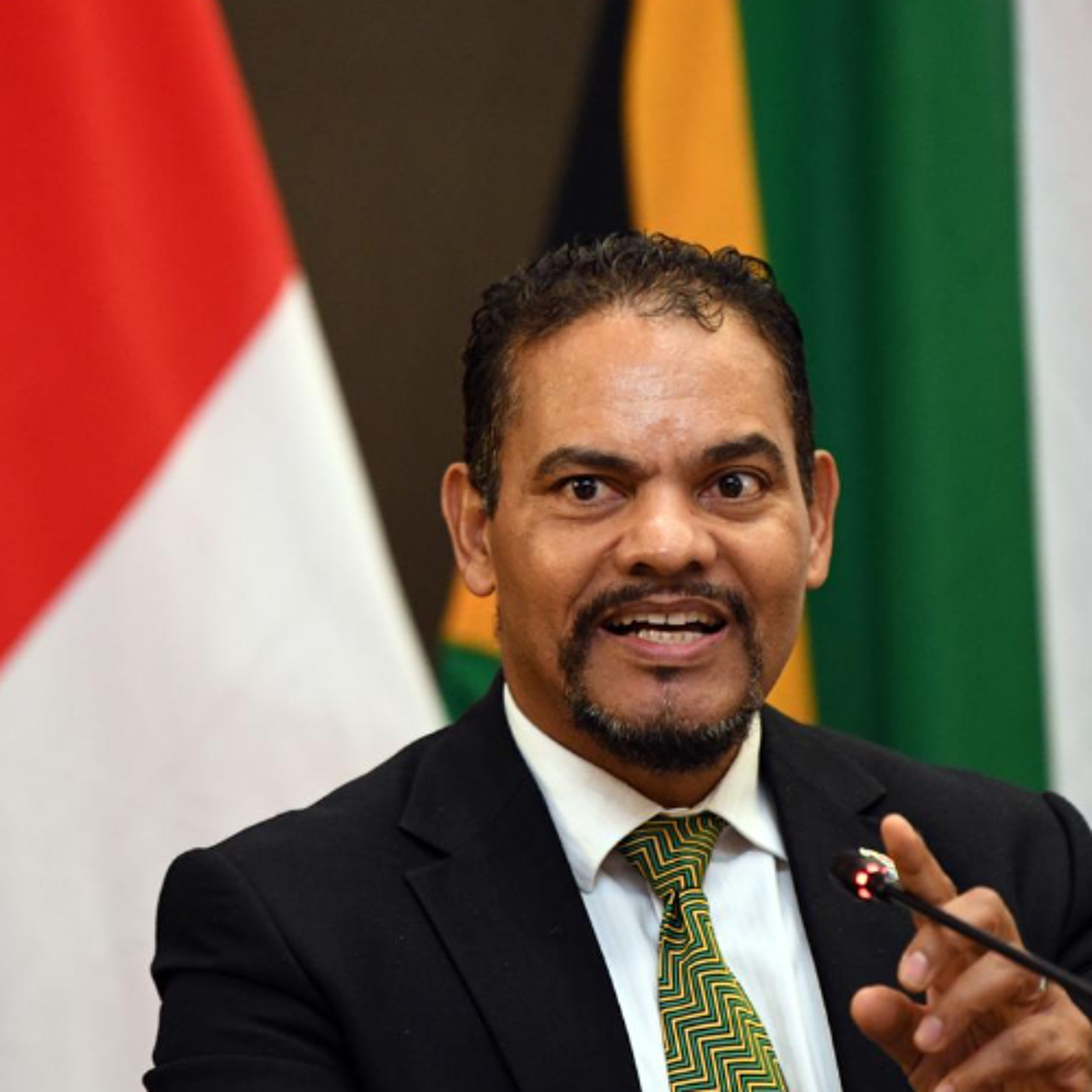 Deputy Minister of International Relations and Cooperation, Mr Alvin Botes.
