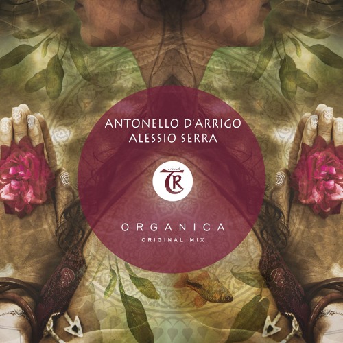 Antonello D'Arrigo, Alessio Serra, Tibetania - Organica