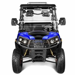Few Aspects To Consider Before Buying A New Or Used Rover 200 Golf Cart UTV