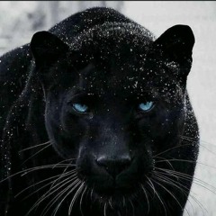 aretha fraklin_-i never loved aman (nice mix) by SpeakNice.mp3