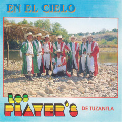 Anillo De Compromiso