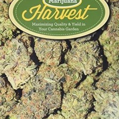 Read  Marijuana Harvest: How to Maximize Quality and Yield in Your Cannabis Garden