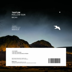 TANTUM Hollow Sun (Micah Remix)