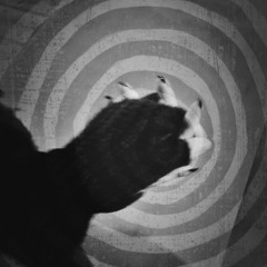 I Like You (Dandelion Hands)