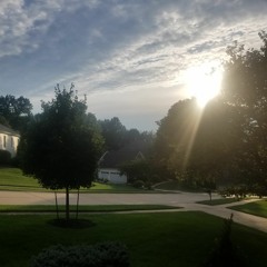 settled in (new nest)