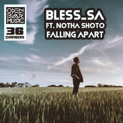 Bless_SA, Notha Shoto - Falling Apart EP