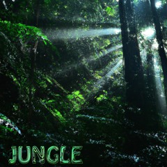 Jungle (ft. Linus Villa)