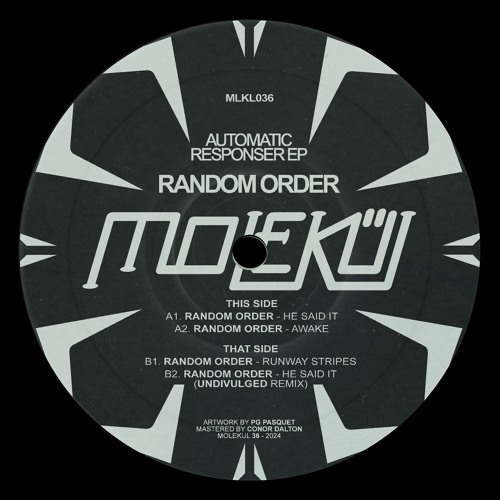 Premiere: Random Order - He Said It [MLKL036]