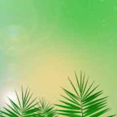 Palmsunday