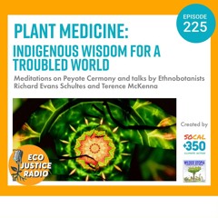 Plant Medicine: Indigenous Wisdom for a Troubled World