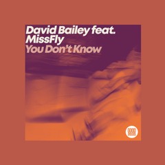GOOD VIBRATIONS PREVIEW: David Bailey Feat MissFly - You Don't Know (Underground Project Mix)