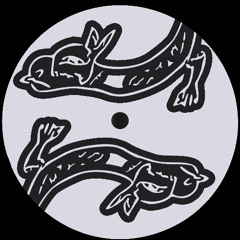 Céilí - Leathered